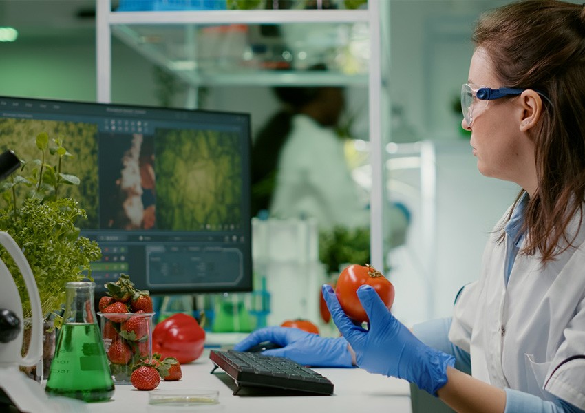 Food and Agricultural Products Testing Industry